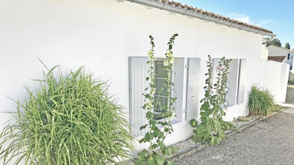 Le Clos Des Flots - L'Ocean La Flotte Zewnętrze zdjęcie